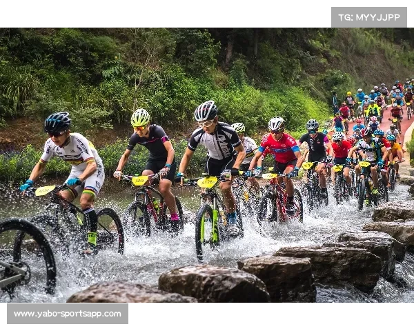 百名师生参与亚洲杯第二课堂突破历史 为成长注入体育精神 百名师生参与亚洲杯第二课堂突破历史 为成长注入体育精神