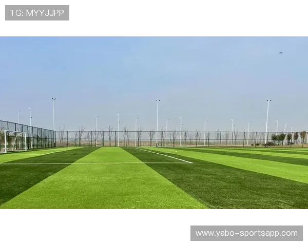 乐动体育引领全民运动新潮流打造健康生活新体验