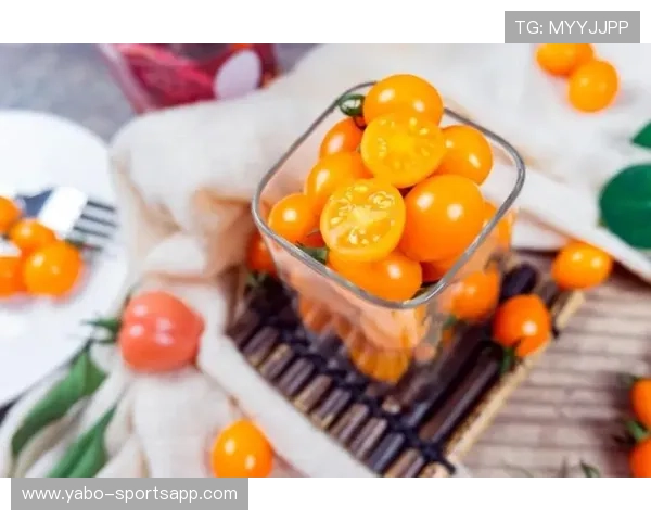 番茄体育打造沉浸式赛事资讯平台带你畅享精彩直播与专业数据解析